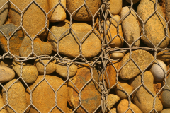 Caged