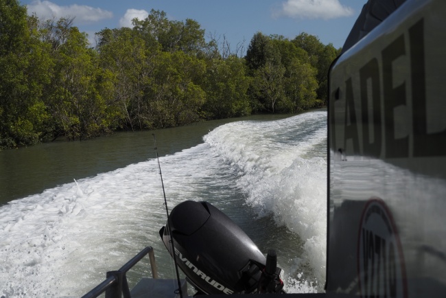 Cruising up the river
