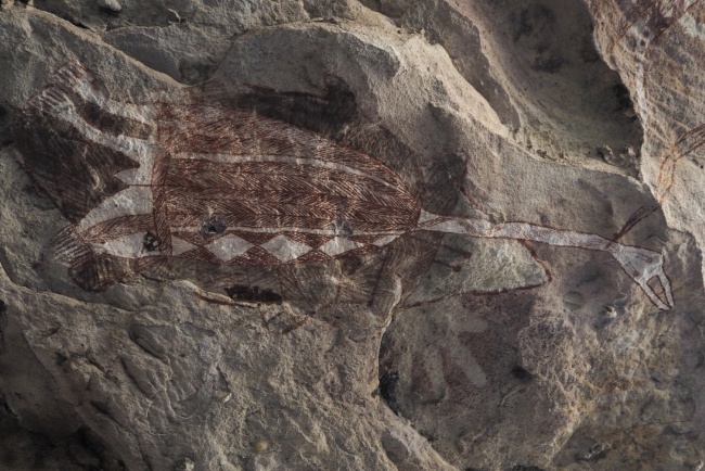 Rock Art - Mt Borradaile