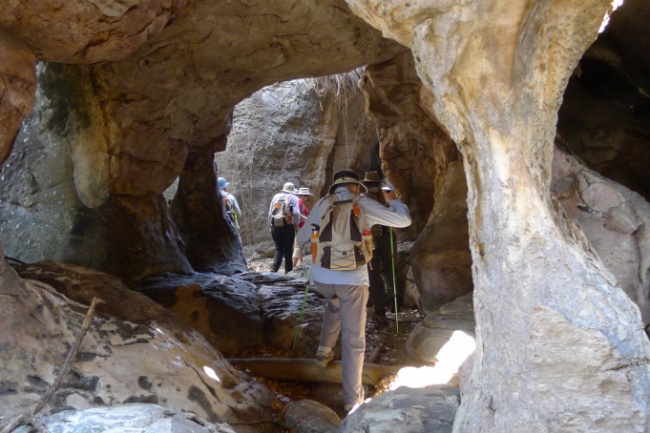 Rock Art - Mt Borradaile