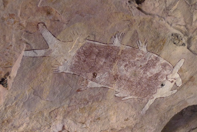Rock Art - Mt Borradaile