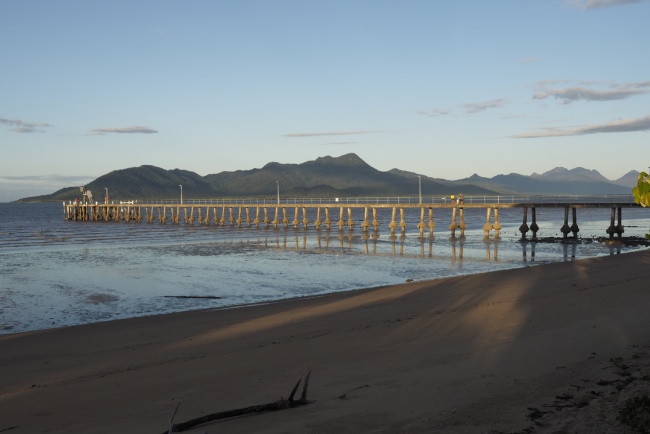 Cardwell jetty