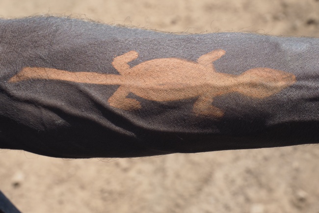 Michael's goanna
