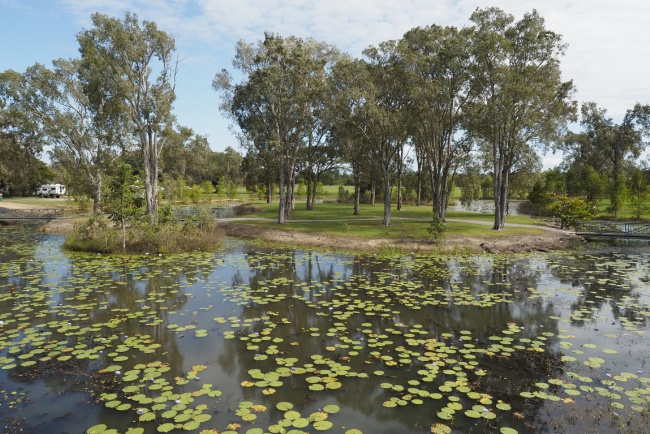 Tyto Wetlands