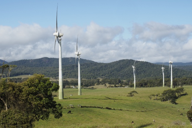 Windy Hill Wind Farm